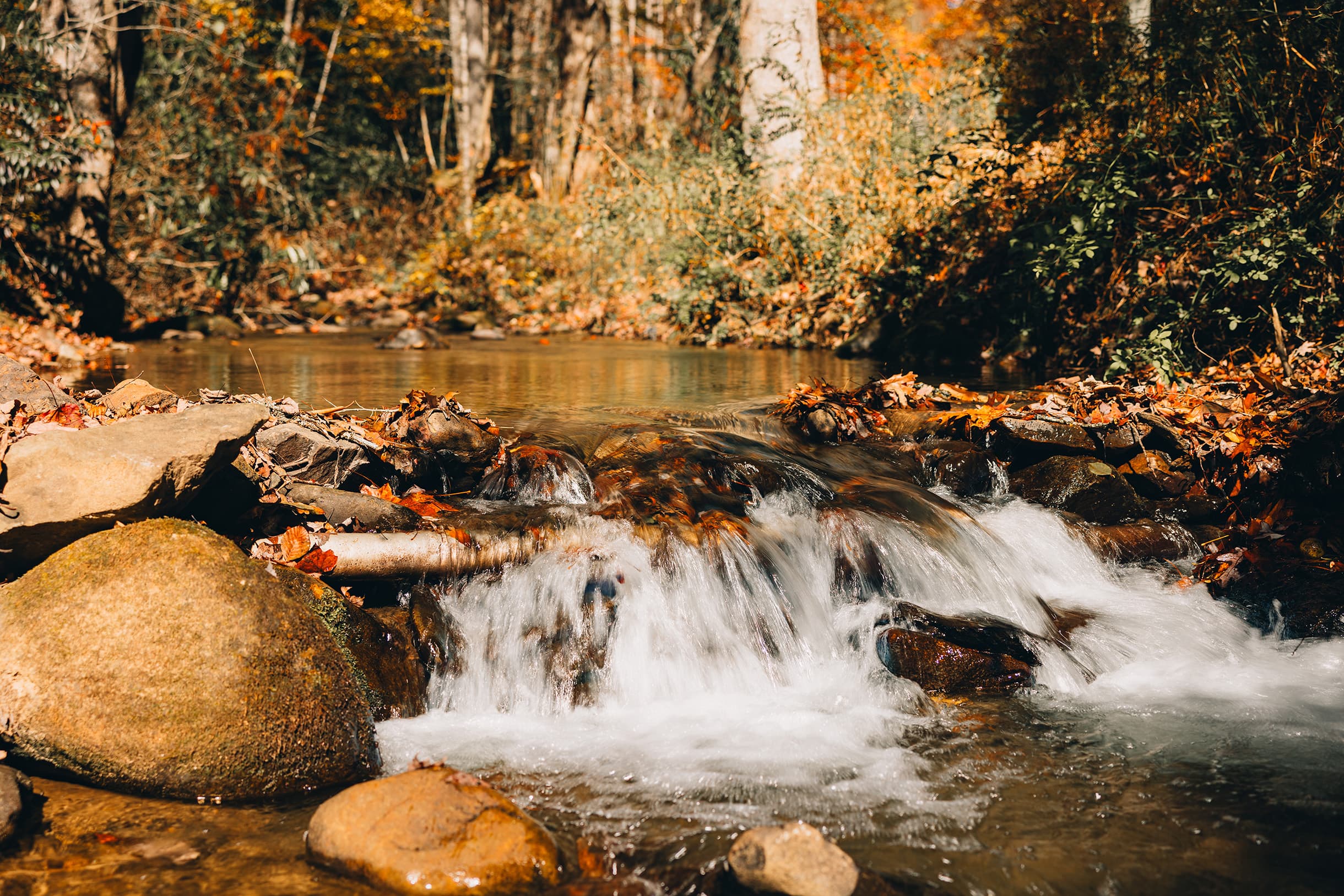 A small, picturesque water cascade flowing over moss-covered rocks in Lands Creek at Three Little Bears Retreat in the Smoky Mountains.