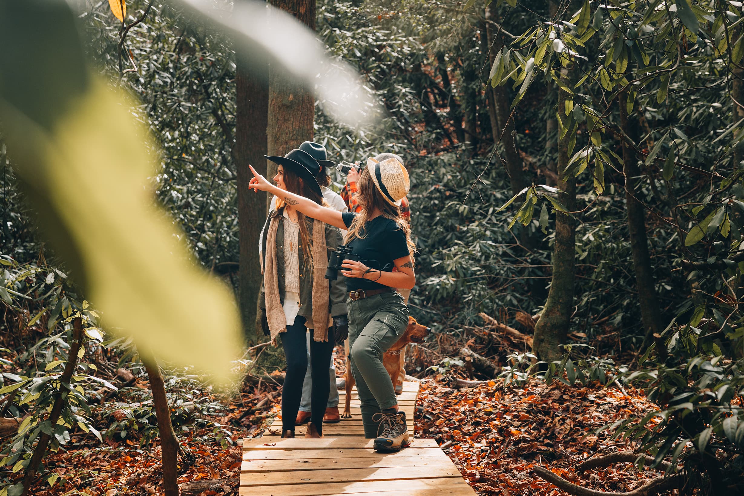 A couple exploring the private Nuwati Trail at Three Little Bears Retreat, pausing to look for wildlife on the private Nuwati Trail along a scenic mountain stream in the North Carolina woods.