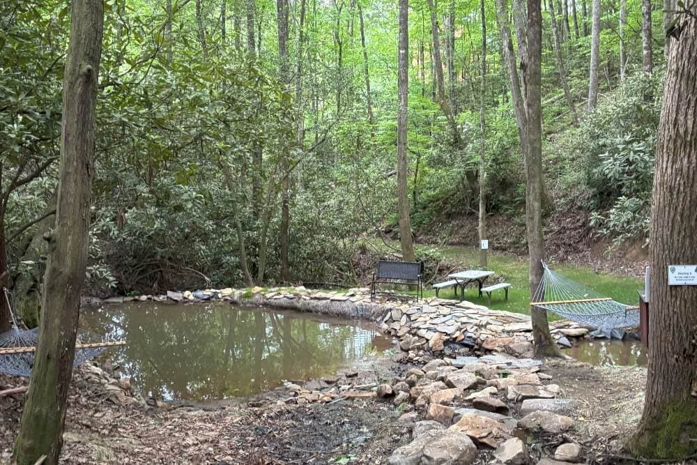 A peaceful forest clearing featuring a small pond, stone borders, benches, and a hammock.