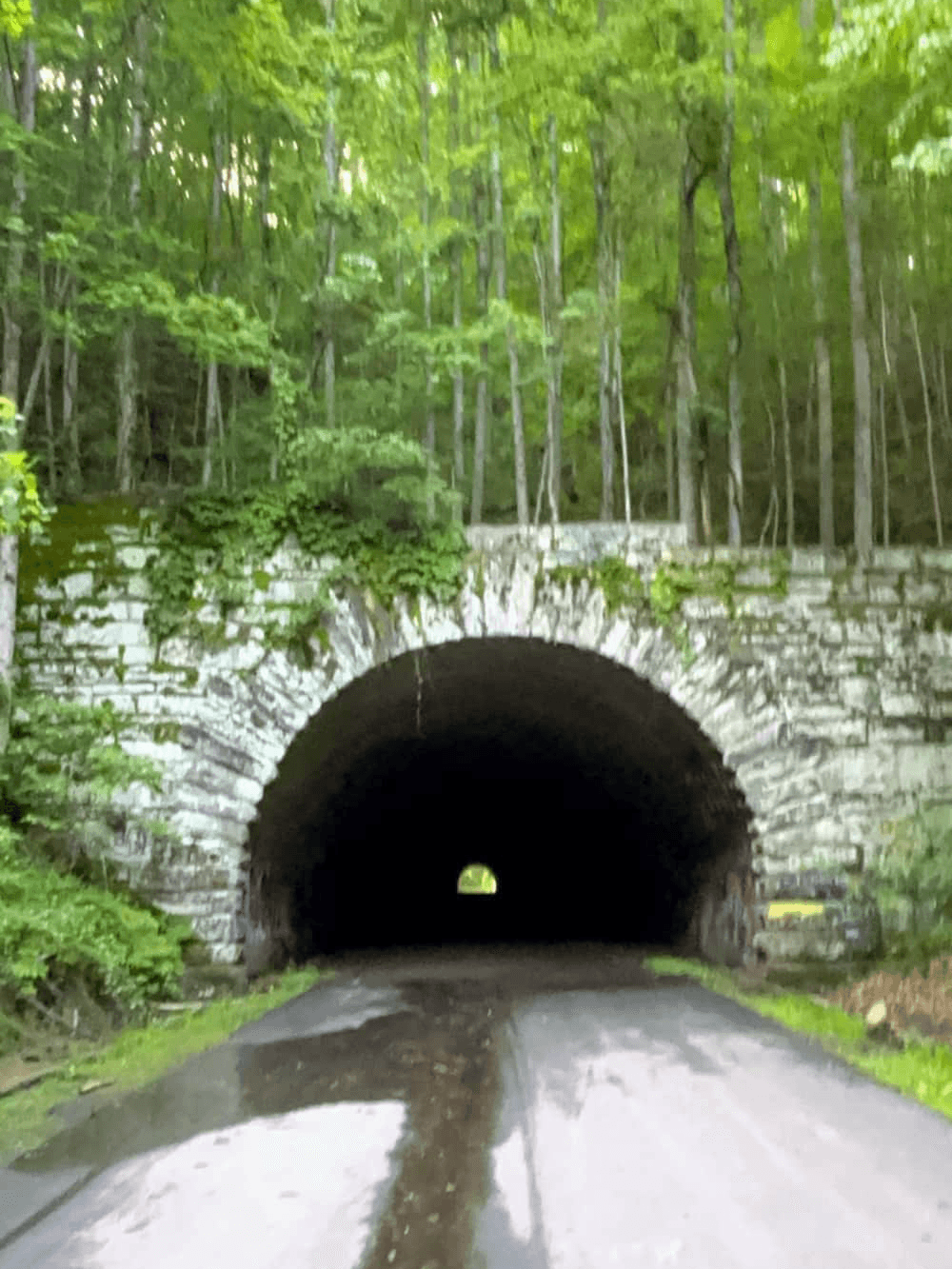 A stone archway tunnel surrounded by lush green trees and a wet road leading into darkness.