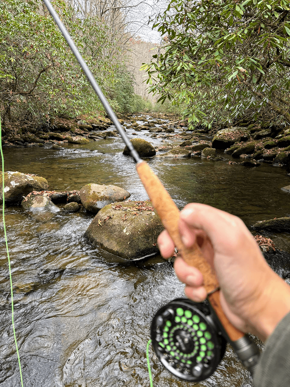 A person's hand holds a fly fishing rod over a stream surrounded by greenery.