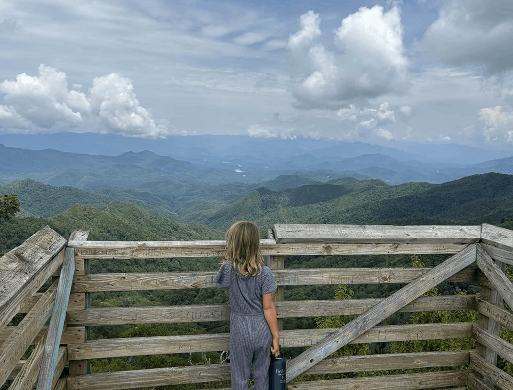 A child stands at a wooden lookout, gazing over a lush mountain landscape under a cloudy sky.