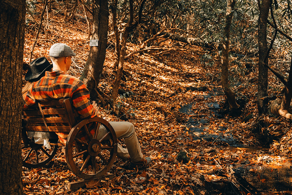 A couple sits on a wooden bench in a forest, surrounded by autumn leaves and a gently flowing stream.