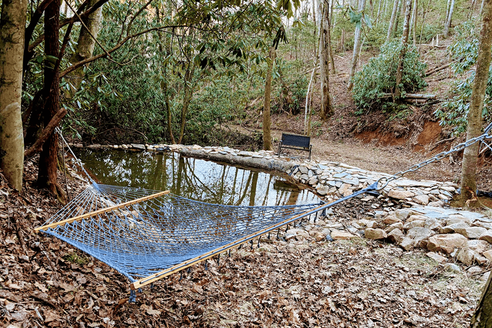 A hammock is draped between trees near a tranquil pond surrounded by woodland.