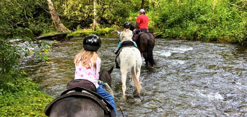 A group of horseback riders crosses a shallow creek surrounded by dense forest and greenery.